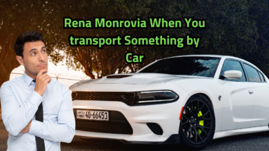 Rena Monrovia When You Transport Something by Car