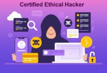 Understanding the Role of a Security Hacker Ethical vs. Malicious Hackers