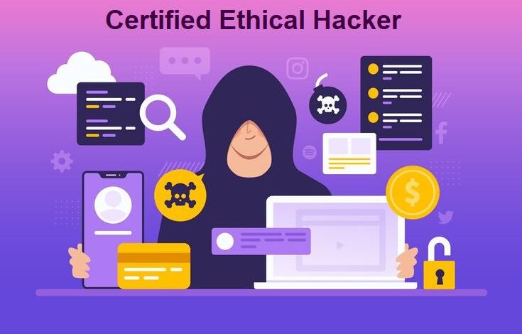 Understanding the Role of a Security Hacker Ethical vs. Malicious Hackers