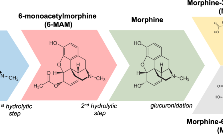 Understanding Heroin